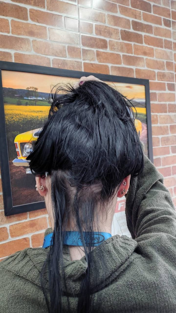 Exemplo de cabelo feminino separado na parte posterior da cabeça para mostrar a região de coleta